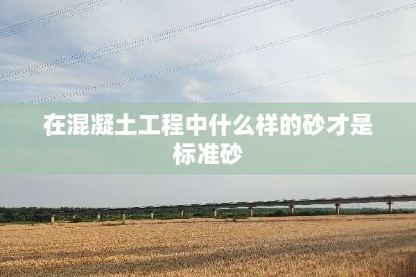 在混凝土工程中什么样的砂才是标准砂