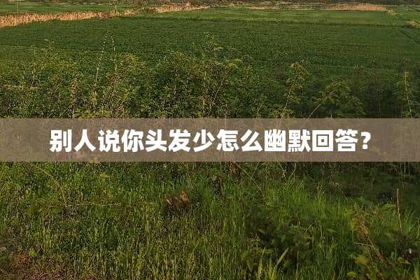 别人说你头发少怎么幽默回答？