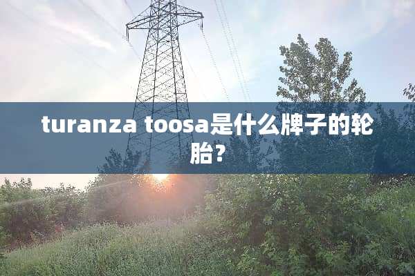 turanza toosa是什么牌子的轮胎？