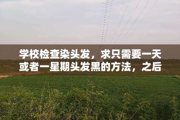 学校检查染头发，求只需要一天或者一星期头发黑的方法，之后可以恢复的？
