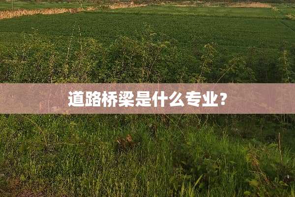 道路桥梁是什么专业？