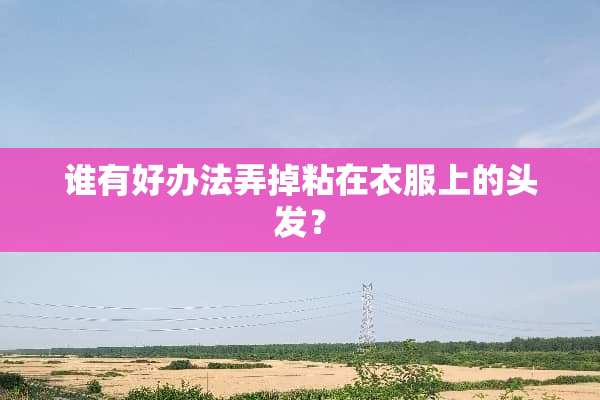 谁有好办法弄掉粘在衣服上的头发？