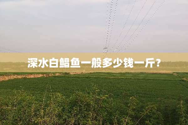 深水白鲳鱼一般多少钱一斤？