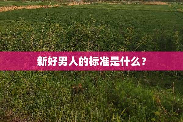 新好男人的标准是什么？
