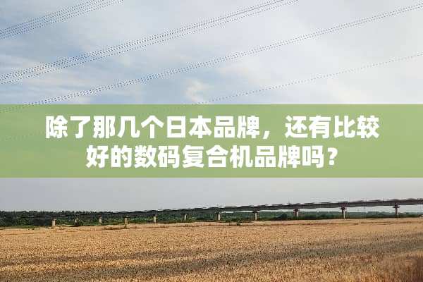 除了那几个日本品牌，还有比较好的数码复合机品牌吗？
