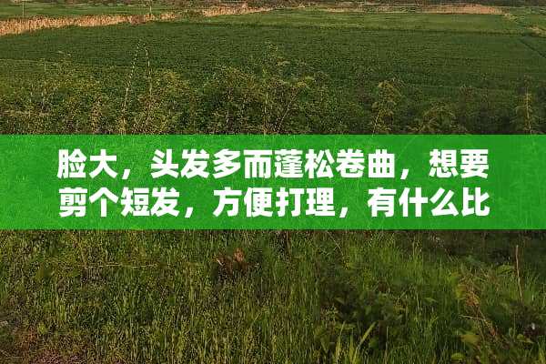 脸大，头发多而蓬松卷曲，想要剪个短发，方便打理，有什么比较美观的发型推荐吗？