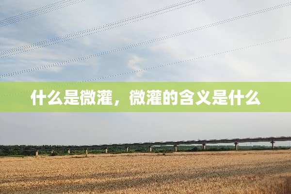 什么是微灌，微灌的含义是什么