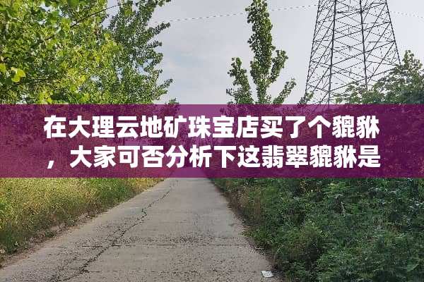 在大理云地矿珠宝店买了个貔貅，大家可否分析下这翡翠貔貅是不是真的，值多钱？