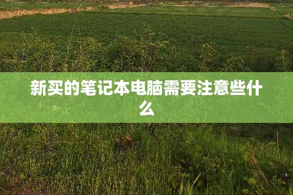 新买的笔记本电脑需要注意些什么