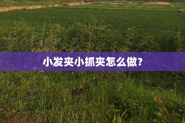 小发夹小抓夹怎么做？