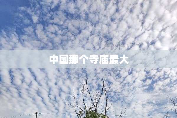 中国那个寺庙最大