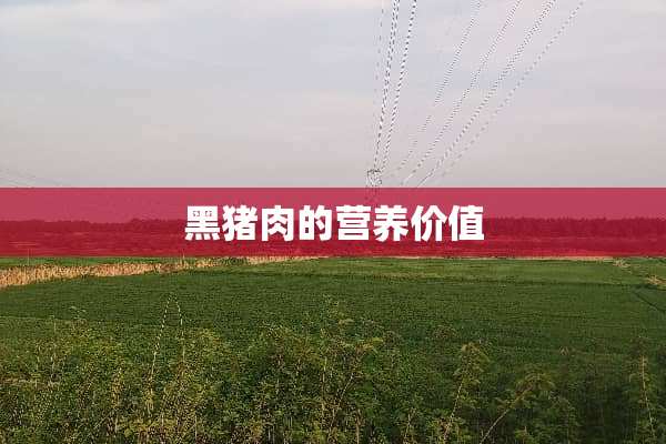 黑猪肉的营养价值