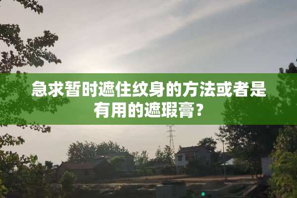 急求暂时遮住纹身的方法或者是有用的遮瑕膏？