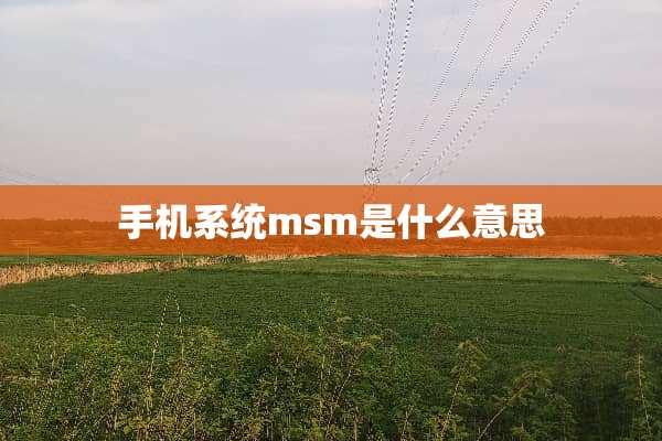 手机系统msm是什么意思