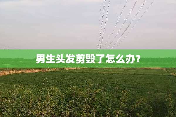 男生头发剪毁了怎么办？