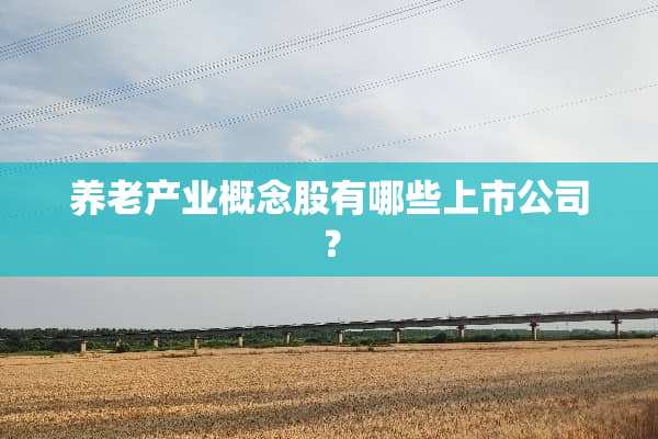 养老产业概念股有哪些上市公司？