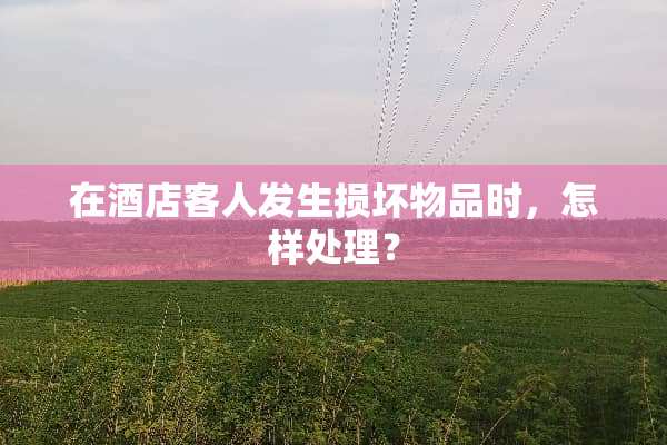 在酒店客人发生损坏物品时，怎样处理？