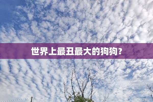 世界上最丑最大的狗狗？