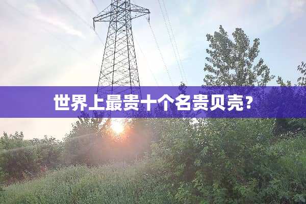 世界上最贵十个名贵贝壳？