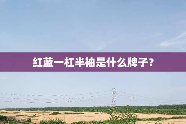 红蓝一杠半袖是什么牌子？