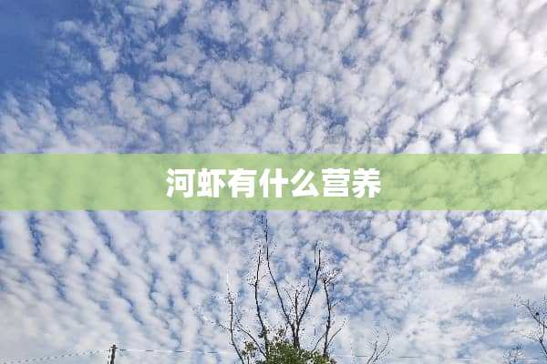 河虾有什么营养
