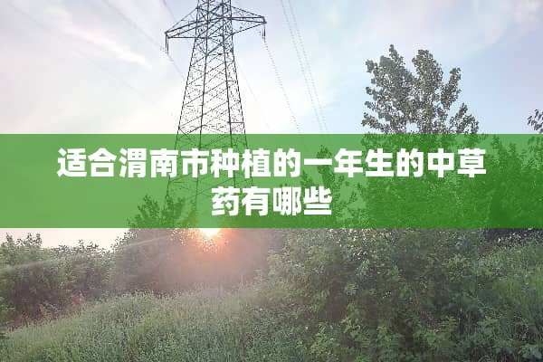 适合渭南市种植的一年生的中草药有哪些