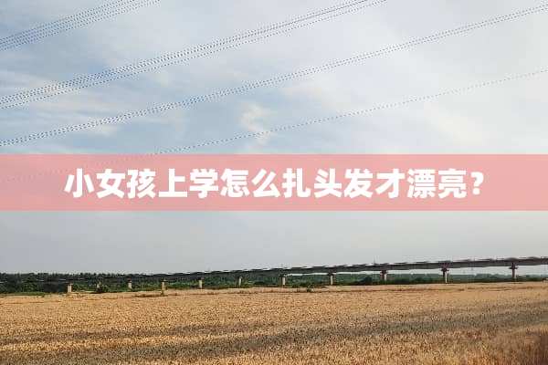 小女孩上学怎么扎头发才漂亮？
