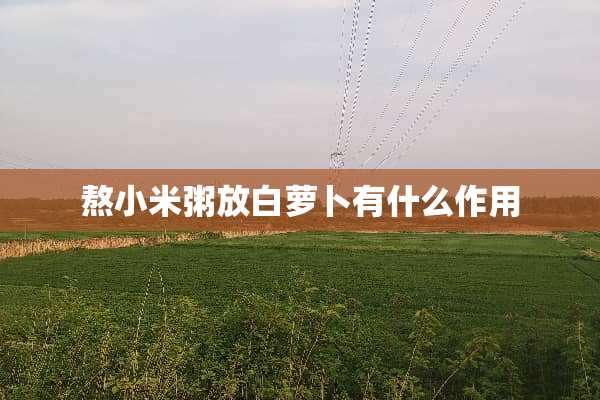 熬小米粥放白萝卜有什么作用