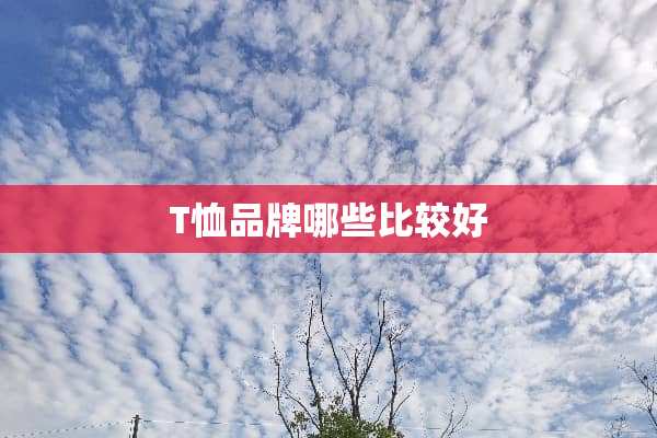T恤品牌哪些比较好