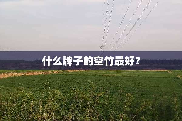 什么牌子的空竹最好？