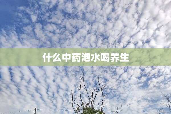 什么中药泡水喝养生