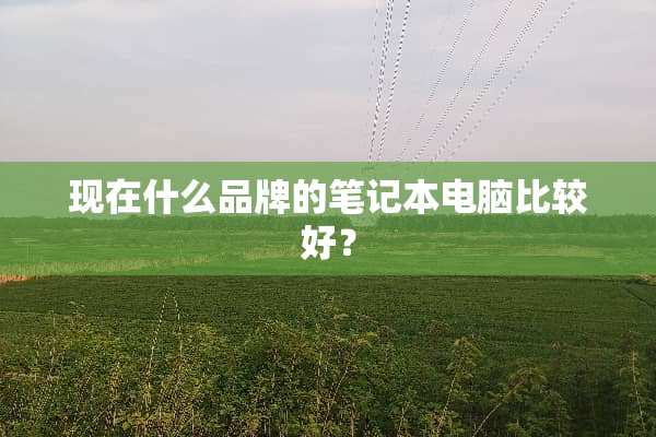 现在什么品牌的笔记本电脑比较好？