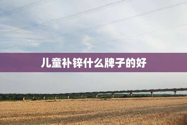 儿童补锌什么牌子的好