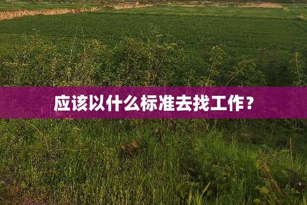 应该以什么标准去找工作？