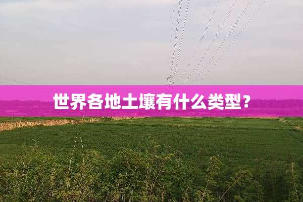 世界各地土壤有什么类型？
