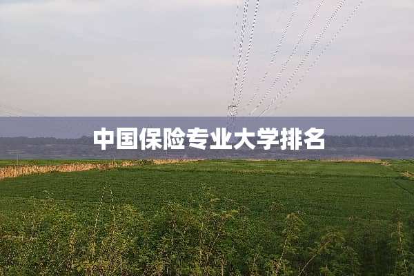 中国保险专业大学排名
