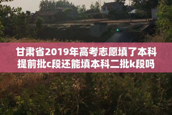 甘肃省2019年高考志愿填了本科提前批c段还能填本科二批k段吗？