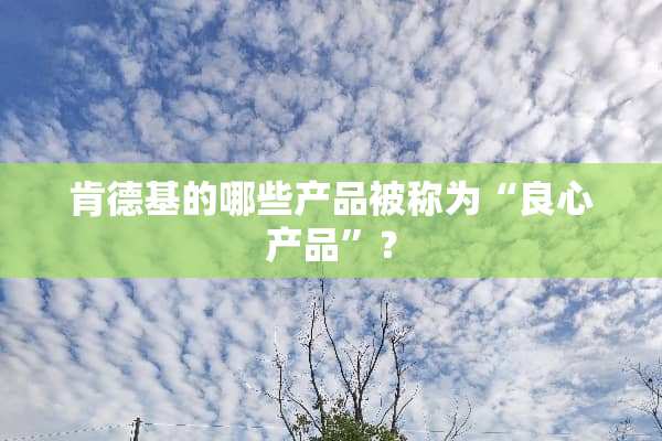肯德基的哪些产品被称为“良心产品”？