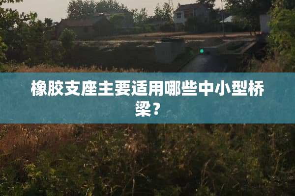 橡胶支座主要适用哪些中小型桥梁？