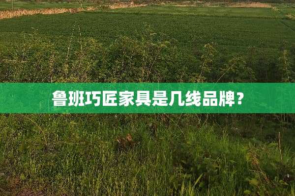 鲁班巧匠家具是几线品牌？