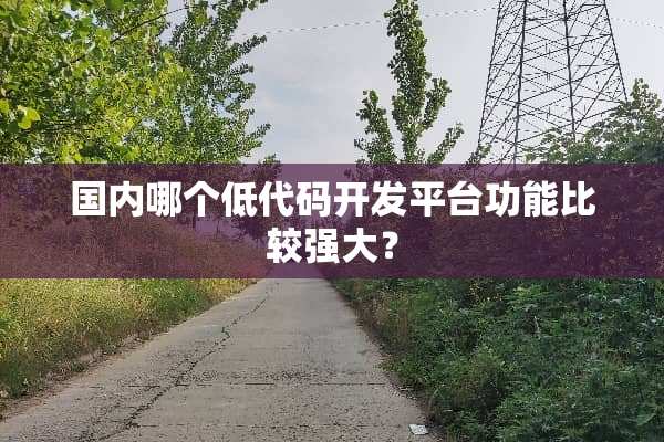 国内哪个低代码开发平台功能比较强大？