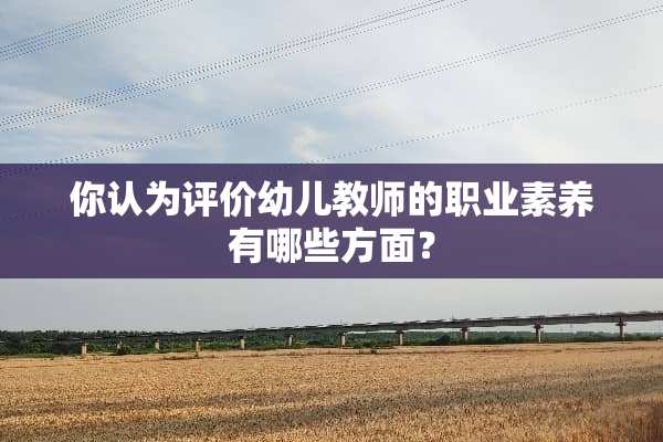 你认为评价幼儿教师的职业素养有哪些方面？