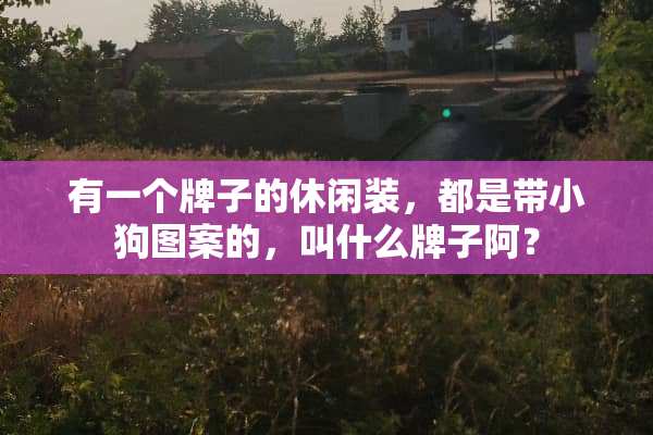 有一个牌子的休闲装，都是带小狗图案的，叫什么牌子阿？
