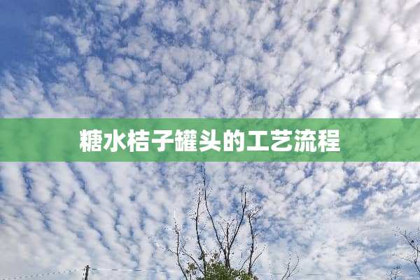 糖水桔子罐头的工艺流程