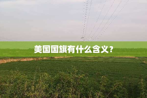 美国国旗有什么含义？