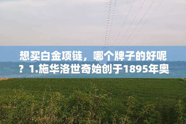 想买白金项链，哪个牌子的好呢？1.施华洛世奇始创于1895年奥地利