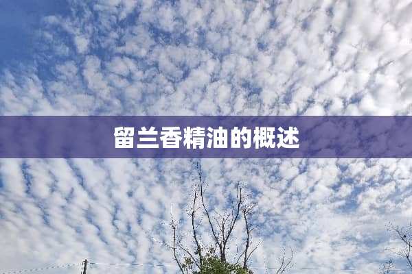 留兰香精油的概述