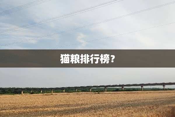 猫粮排行榜？