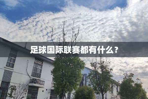 **国际联赛都有什么？