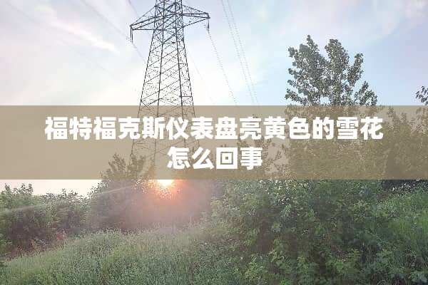 福特福克斯仪表盘亮**的雪花怎么回事